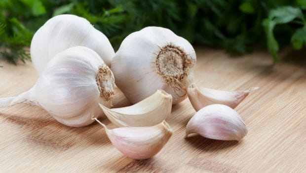 garlic for men