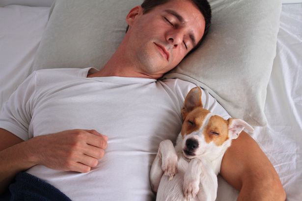man and dog sleeping together