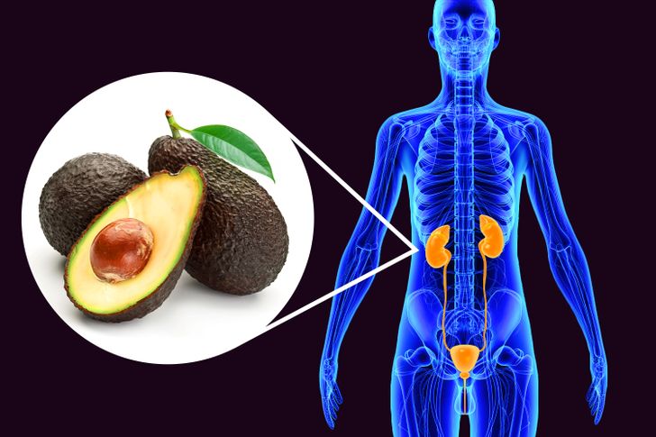 avocado improve kidney function for men