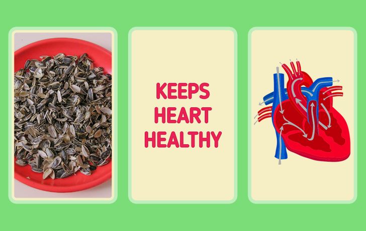 sunflower seed for men