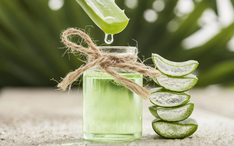 aloe vera