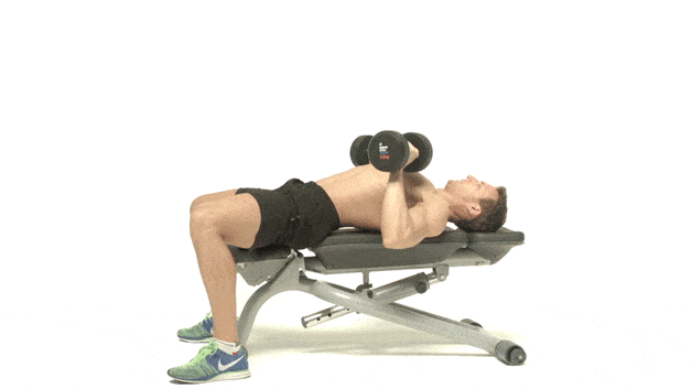 dumbbell bench pess