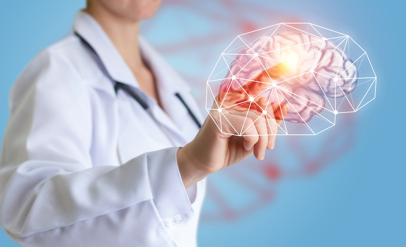 doctor touching brain