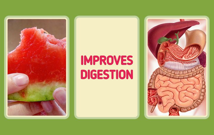 water melon improves digestion for men