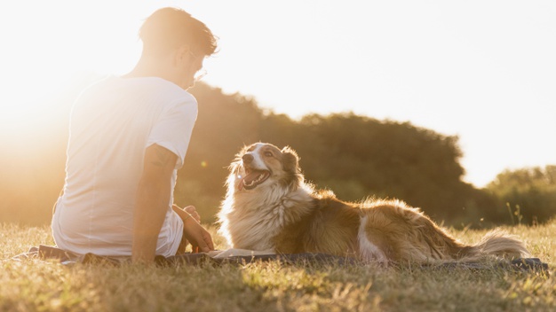  young man with dog at seaside 