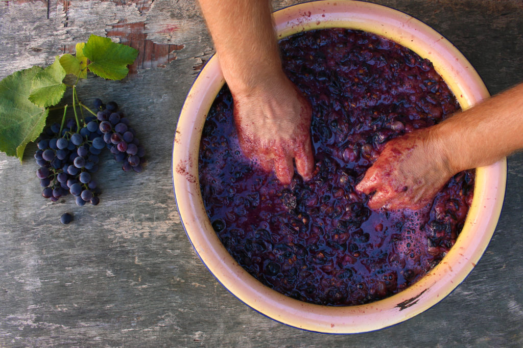 man making homemade red wine