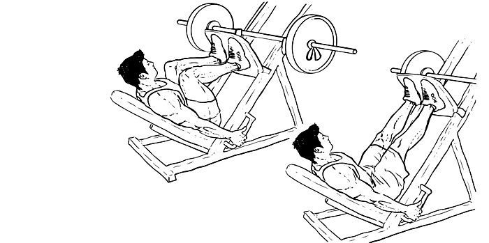 leg press for men