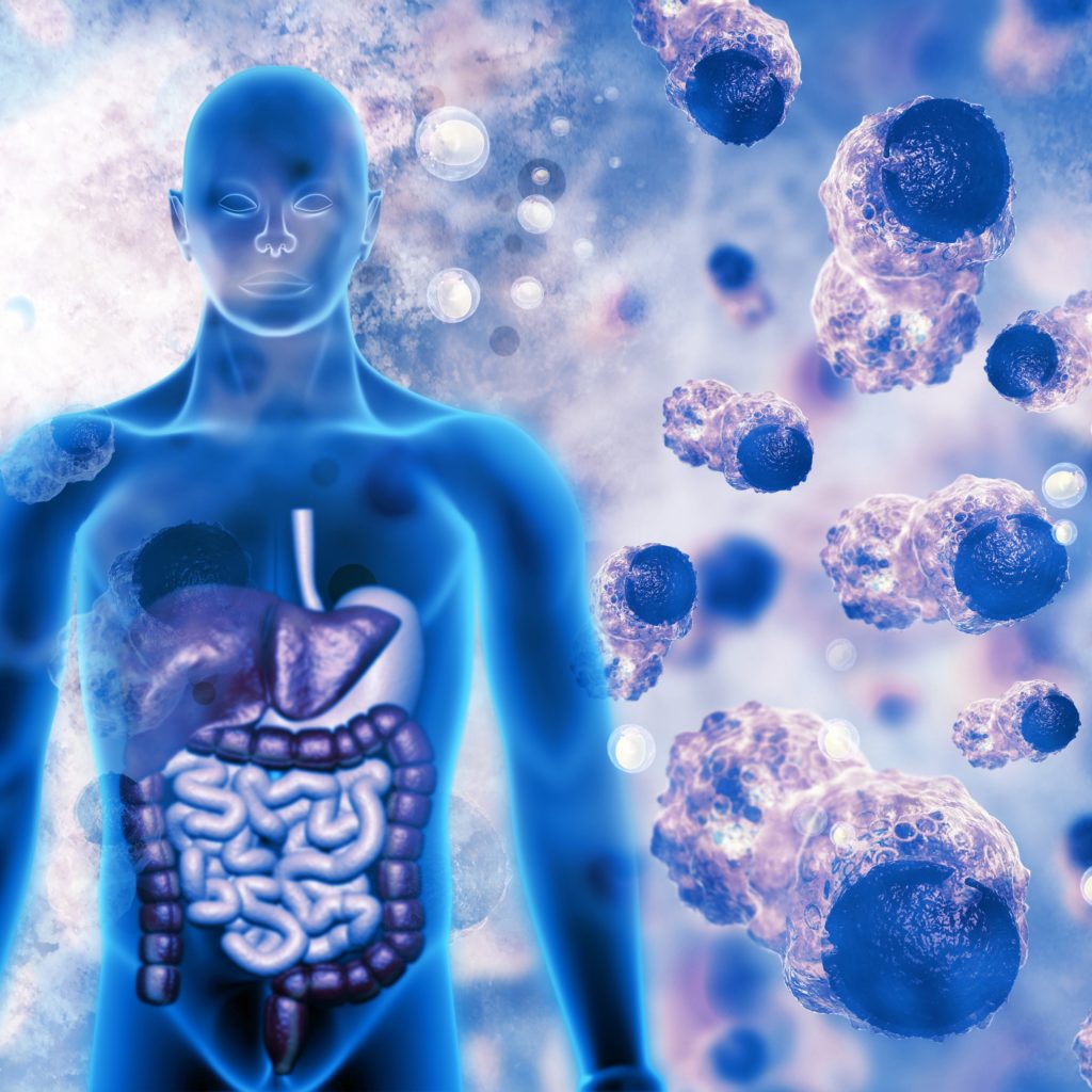 toxic body: unhealthy lifestyle