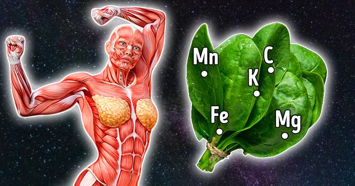 benefits of eating more spinach for men