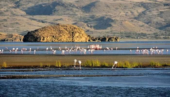 most dangerous place to travel