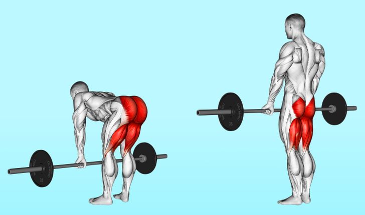 exercises for men with fat body type