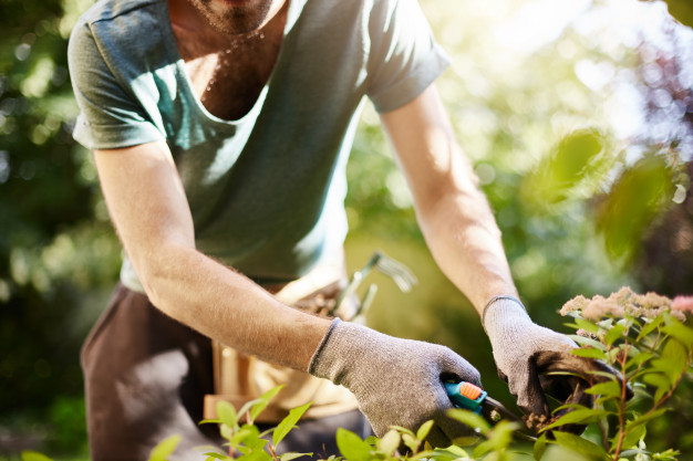 strong man in gloves cutting leaves in his garden. farmer spending summer morning working in garden near countryside house