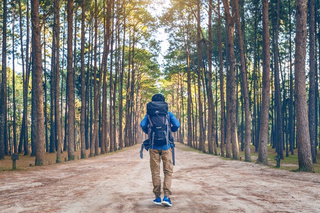 hiking-man-with-backpack-walking-forest