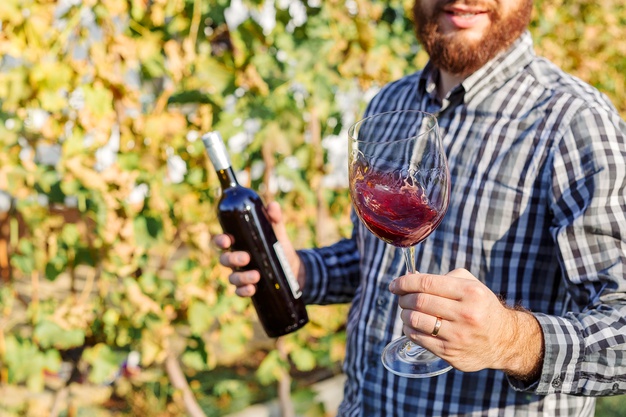 portrait-handsome-wine-maker-holding-hand-bottle-glass-red-wine-tasting-it-checking-wine-quality-vineyards