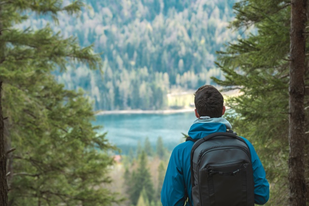 man looking into the forest