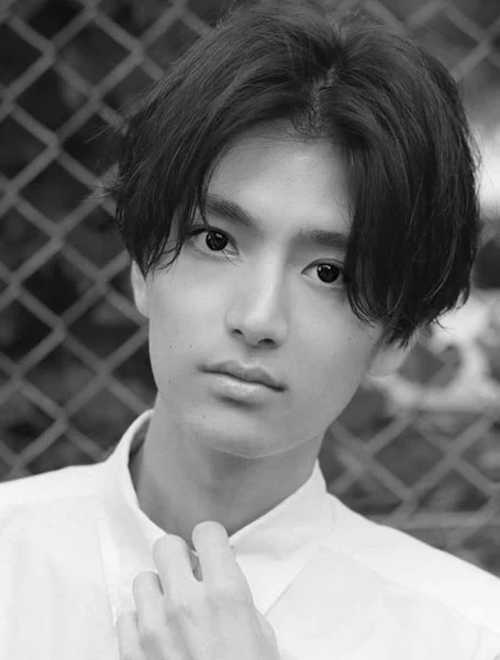 curtain hairstyle for men