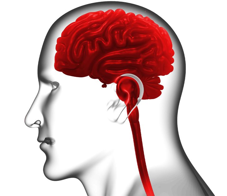 depression affects memory loss