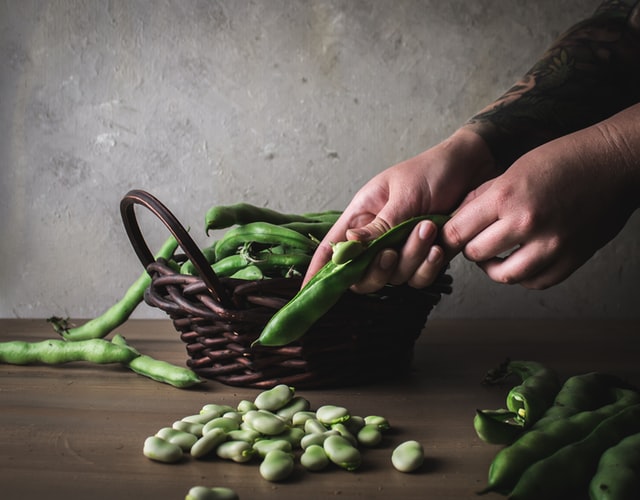 Hands shelling fava beans from a basket on a rustic wood table