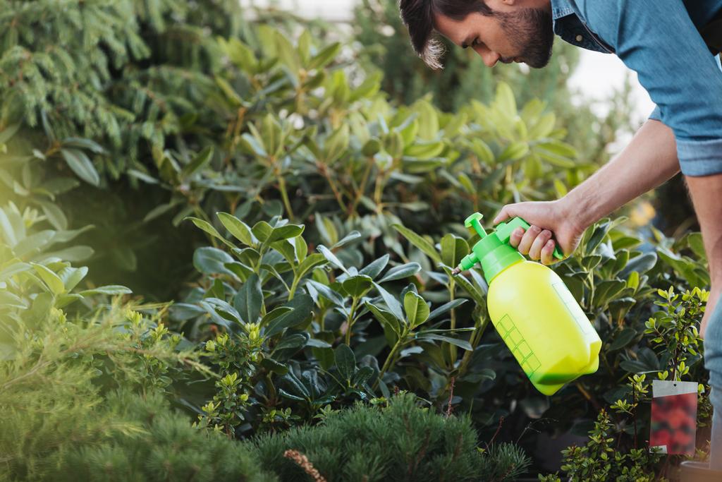 gardener spraying plants while working in garden
