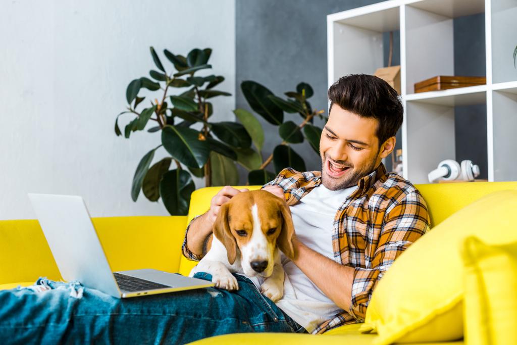 Happy young man with laptop petting cute dog on sofa 