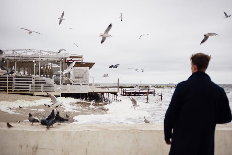 Bird-Watching-Best-Outdoor-Hobby-For-Men