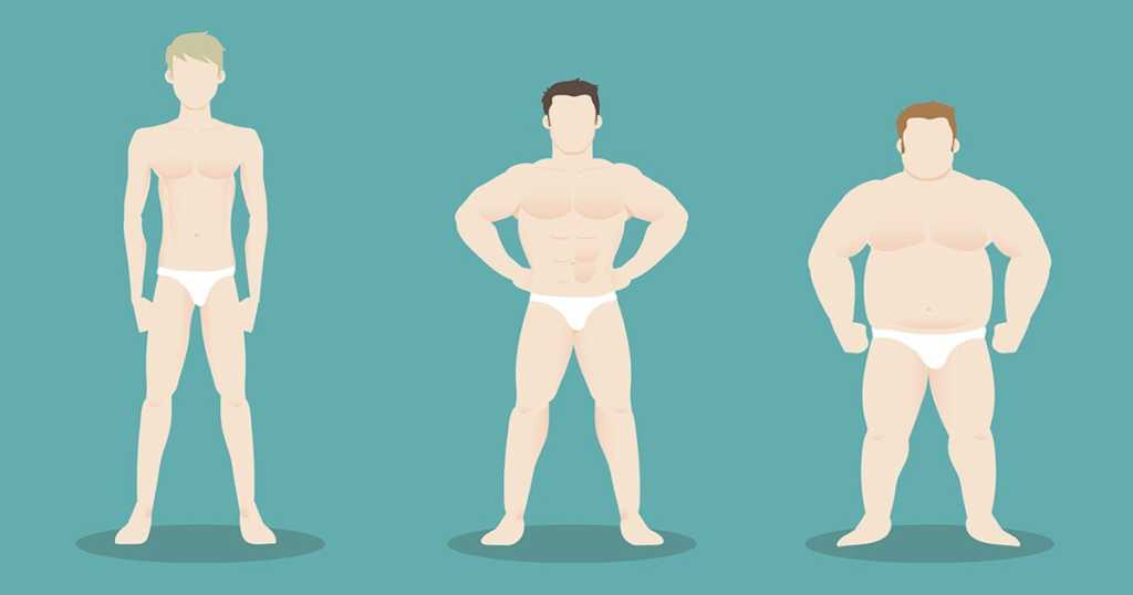 different body types and their exercises for men