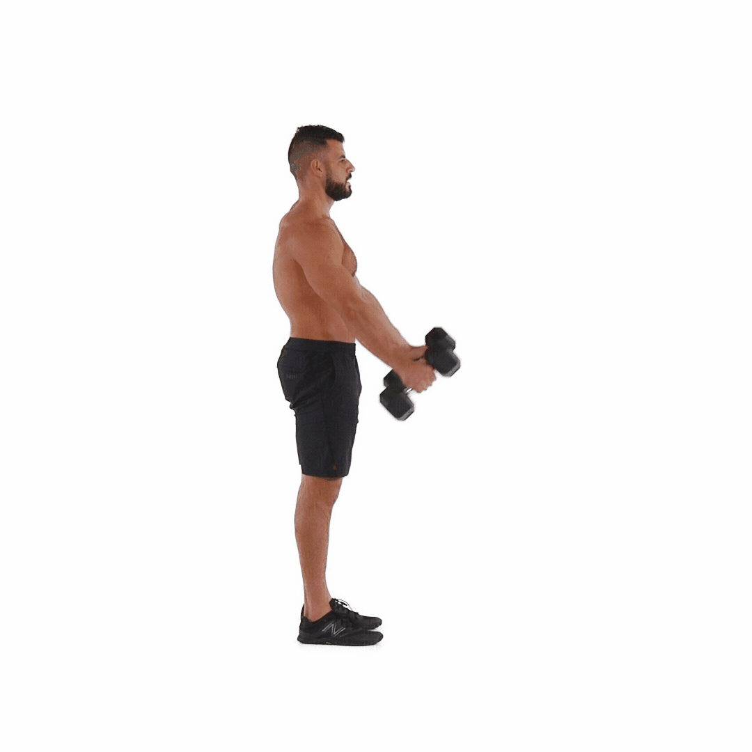 dumbbell workout for men