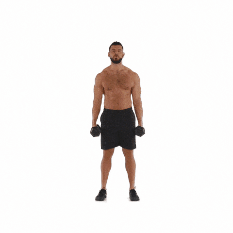 dumbbell workout for men