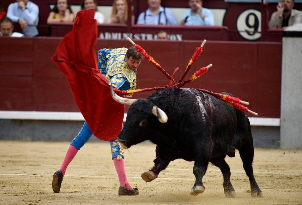 bull fighting spain