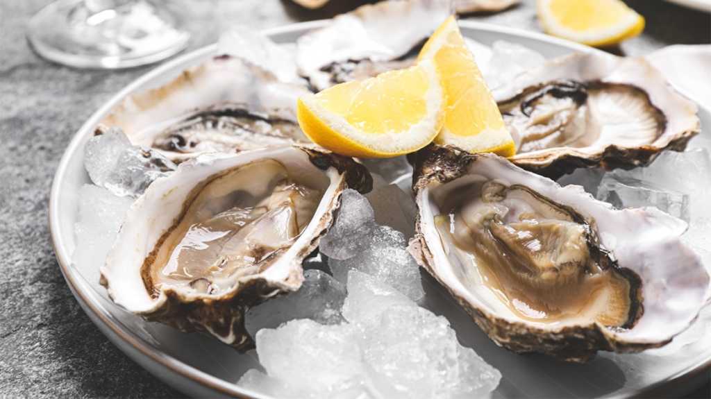 Oysters 