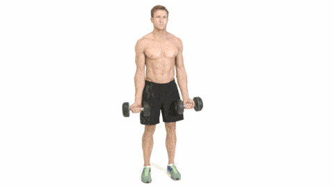 killer arms and abs workout for men