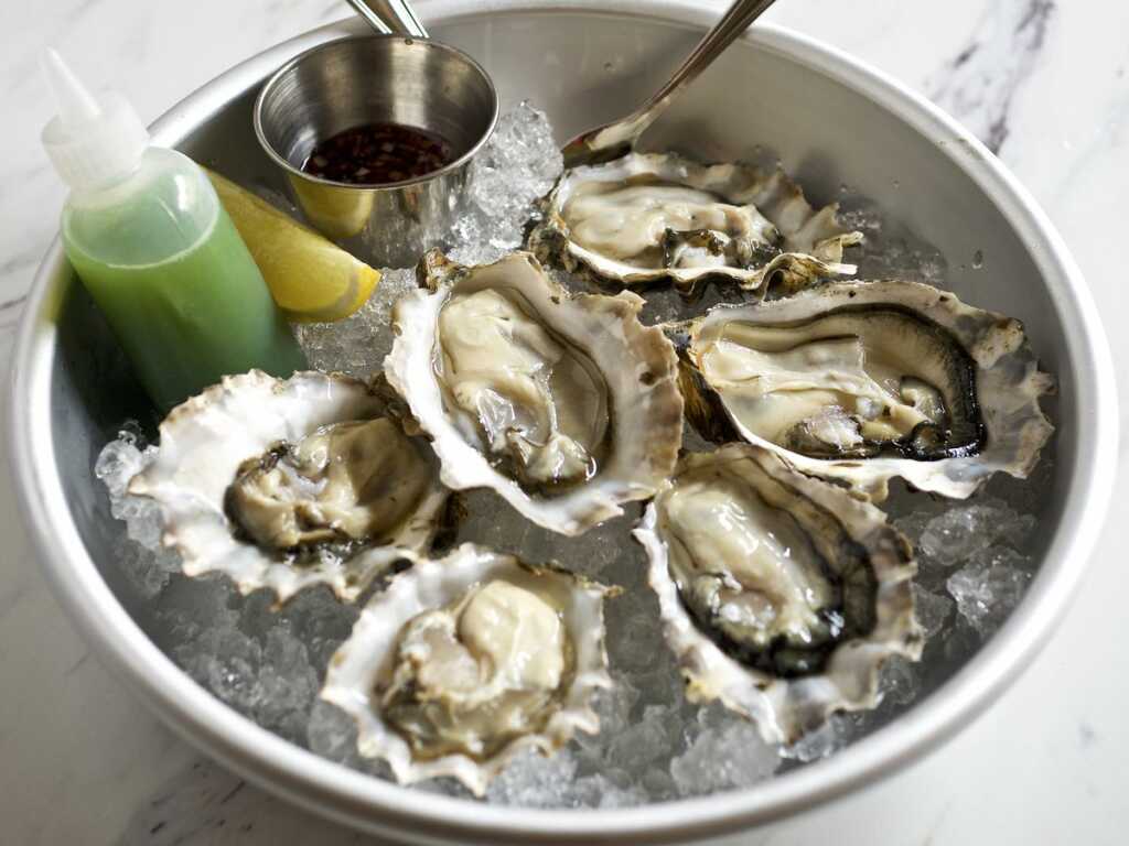 oysters