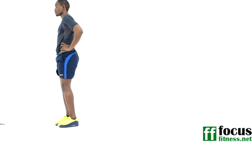 ဝိတ်ချ လေ့ကျင့်ခန်း