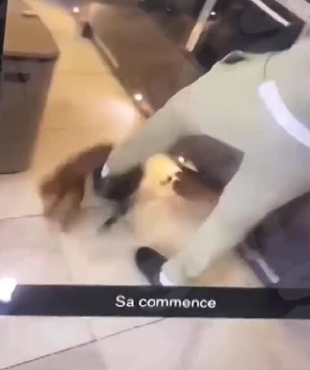 Zouma kicked his pet cat