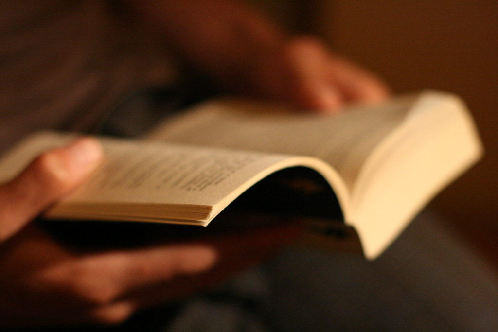 Why You Should Read Every Day 