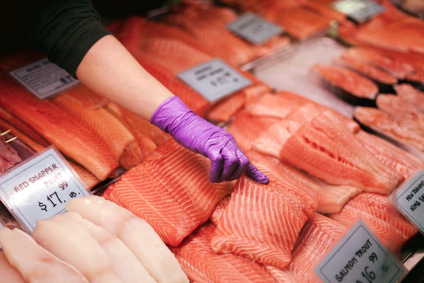 salmon fish