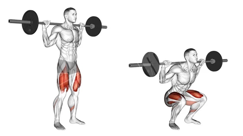 Barbell Squats Workout