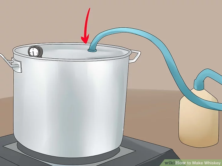 ဝီစကီ ဖော်စပ်နည်း