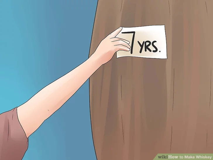 ဝီစကီ ဖော်စပ်နည်း