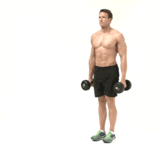exercise for kwee