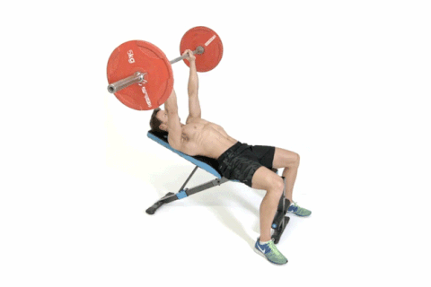 ဝိတ်တင် Workout
