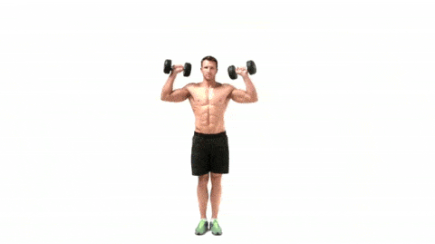 ဝိတ်တင် Workout