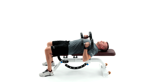 အိုမင်းရင့်ရော်မှုကို တွန်းလှန်ရန် လေ့ကျင့်ခန်းများ