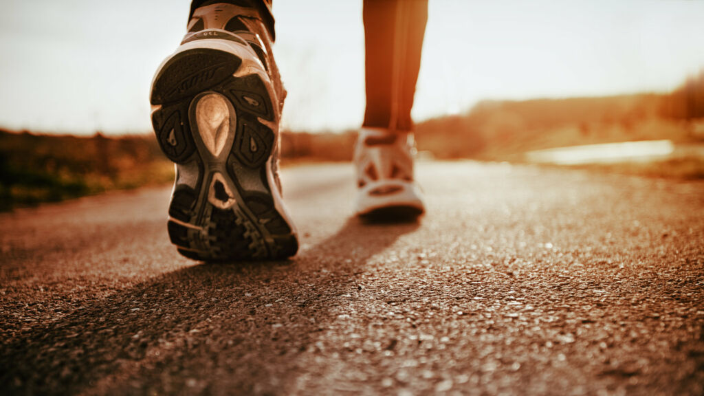 ကိုယ်ခံအားကို မြှင့်တင်ပေးနိုင်မဲ့