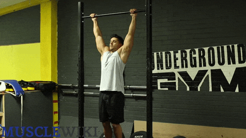 ကြွက်သား ဘားတန်း