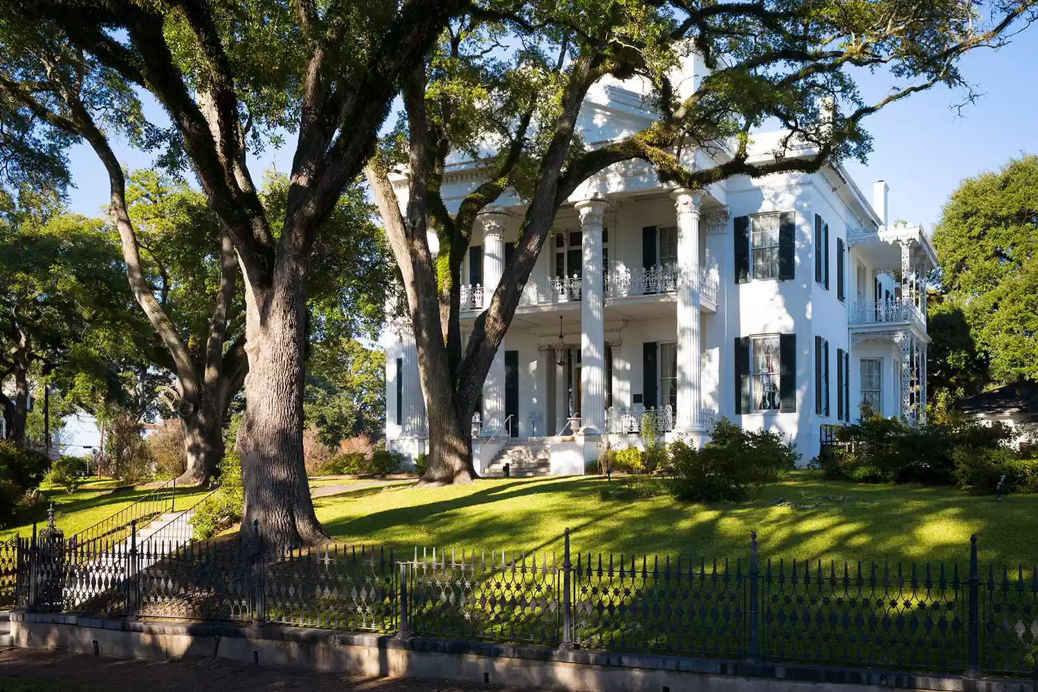 နိုဝင်ဘာ လည်ပတ်