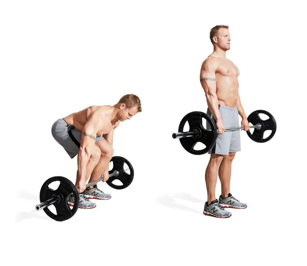 ကြွက်သားတွေ Workout