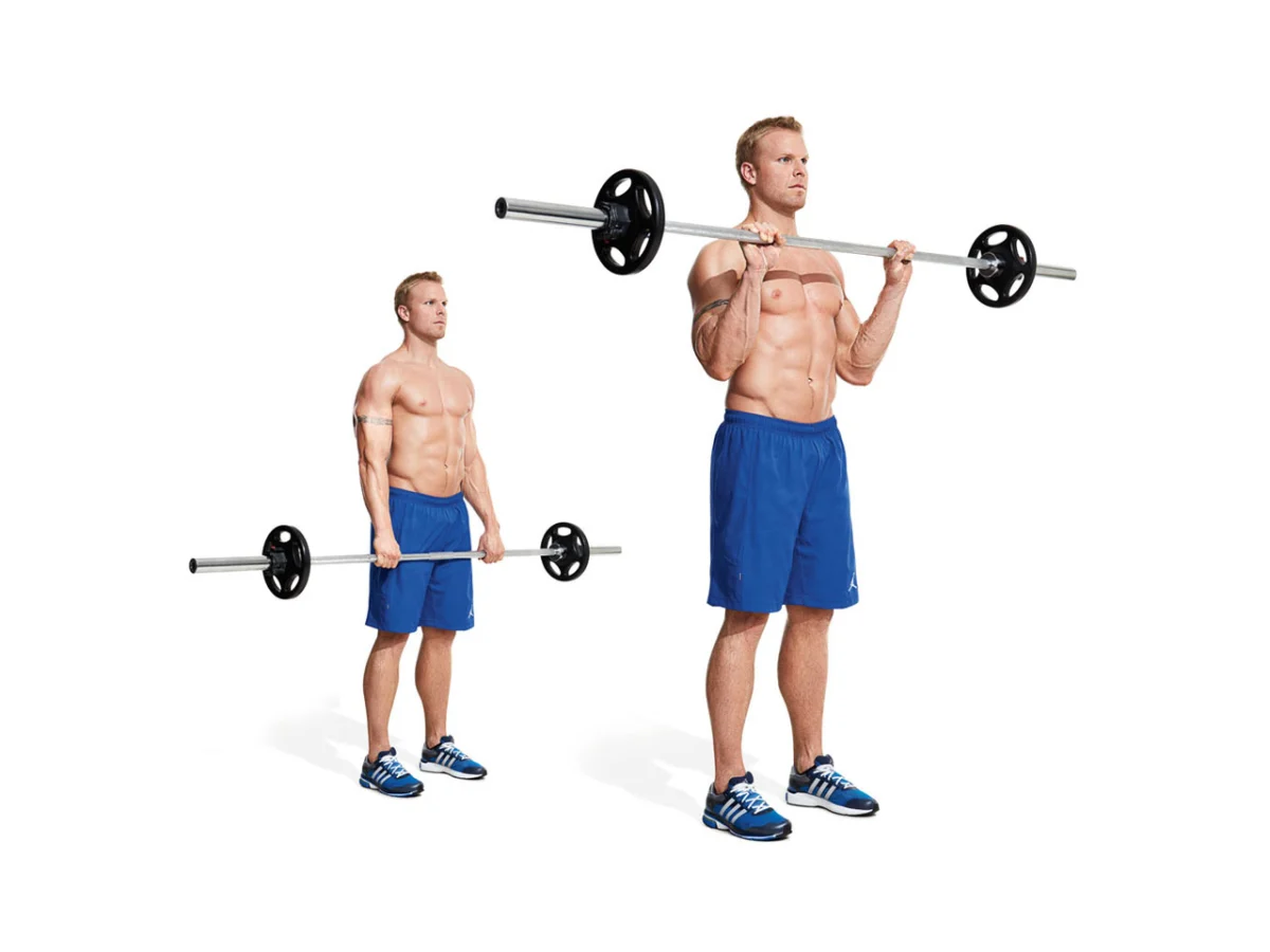 လက်ဖျံ ကြွက်သား