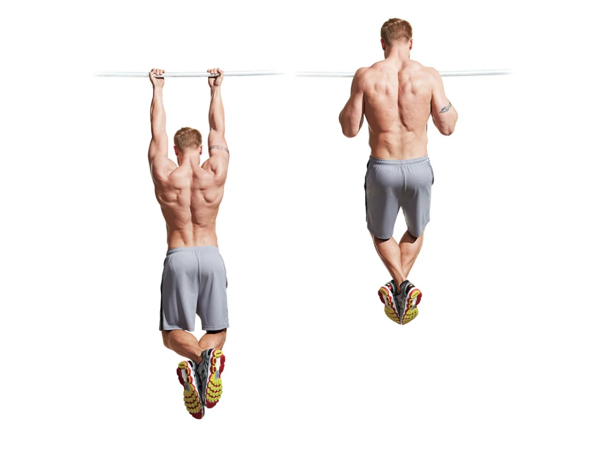 လက်ဖျံ ကြွက်သား