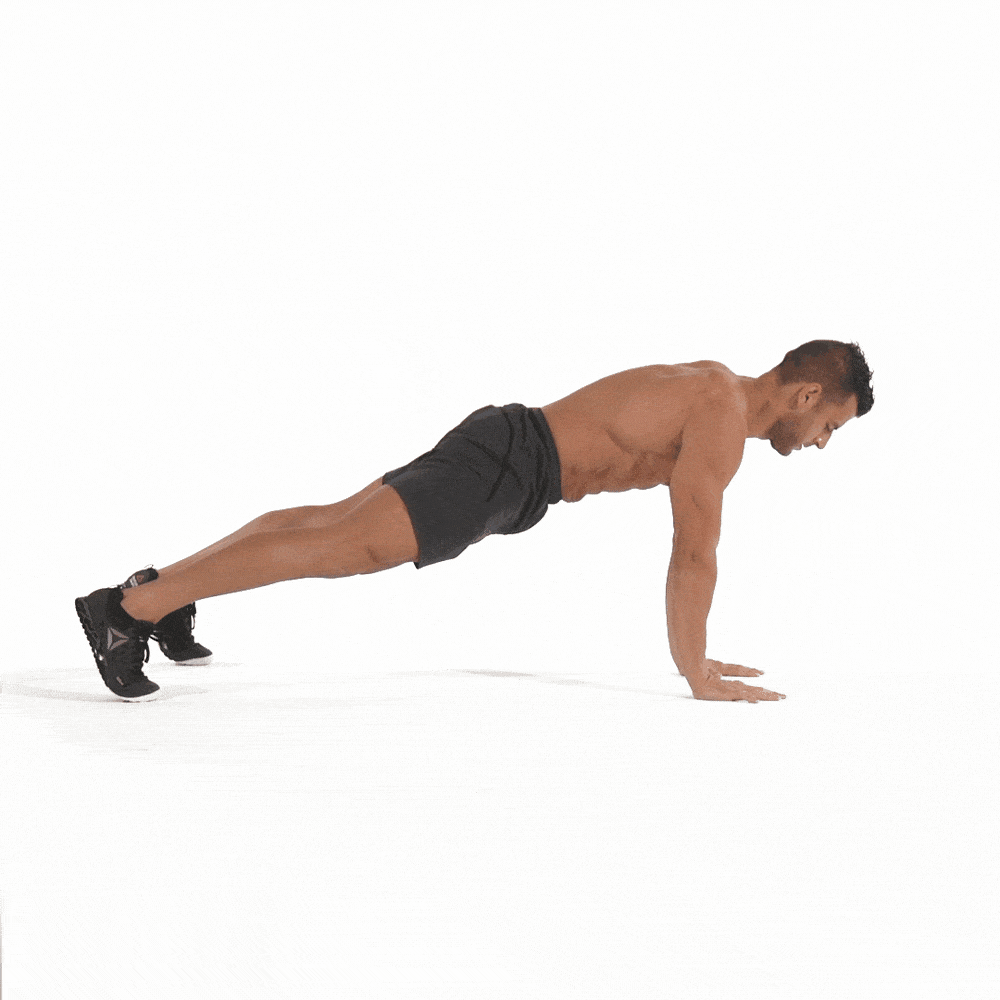 6 Packs Plank